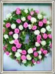 circulara roz alb