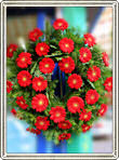 coroana funerara rotunda din gerbera