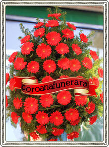 coroana funerara gerbera