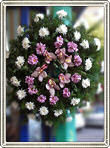 coroane funerare crizanteme orhidee