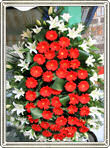 coroana gerbera si crini 100 fire
