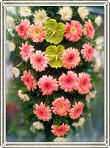 jerbe funerare gerbera anturium