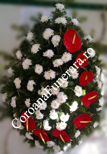 anthurium crizanteme