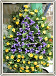 coroana trandafiri si iris 100 fire