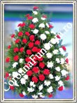coroana garoafe