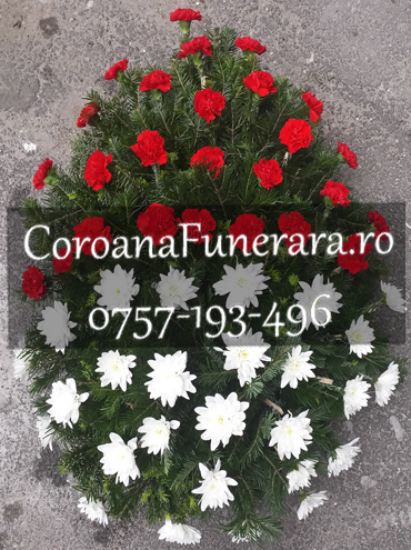 coroana bicolor