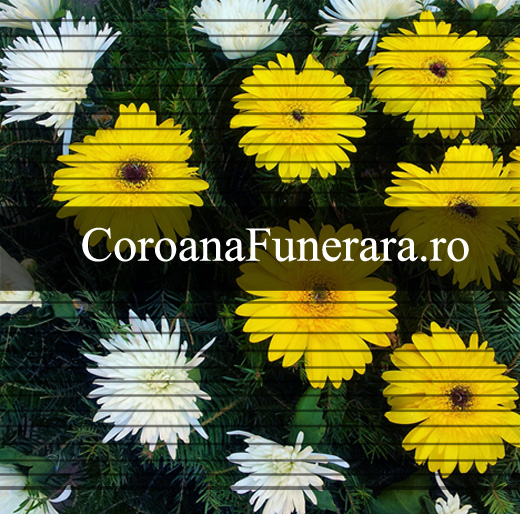 coroane flori gerbera crizanteme