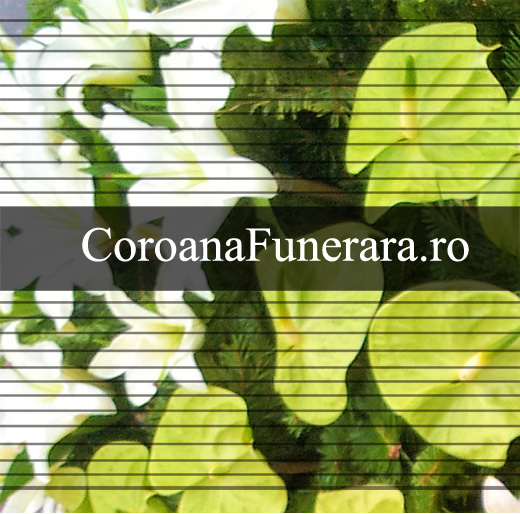 coroane flori anturium crini