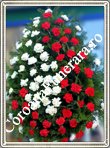 garoafe semiluna