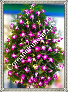 orhidee